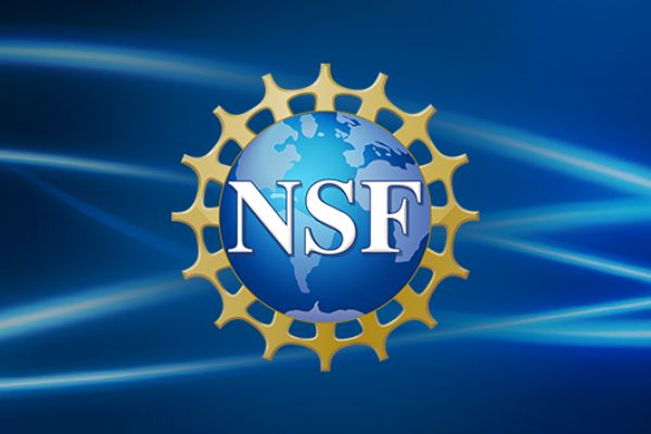 NSF logo