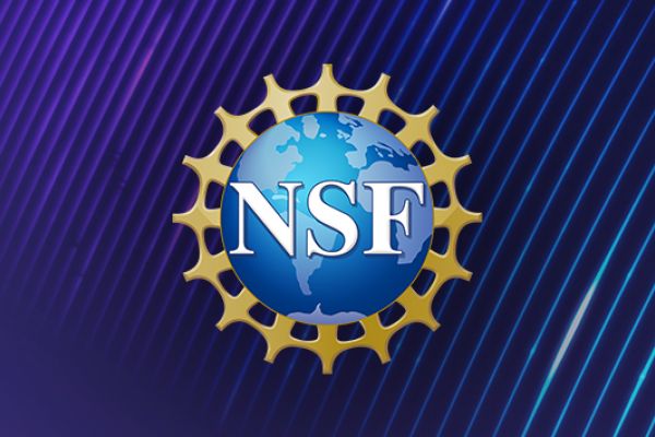 NSF logo