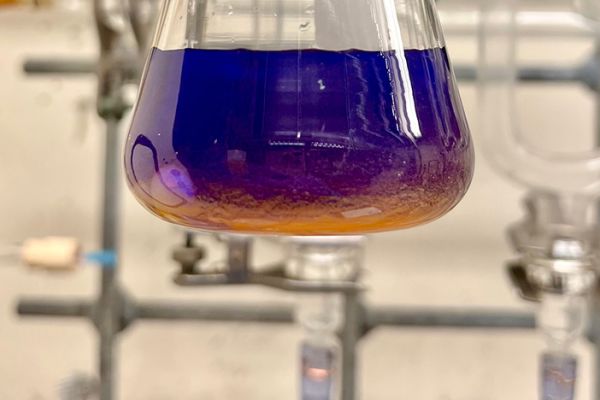 Purple gloved hand holding a clear glass beaker containing purple liquid in a laboratory setting.