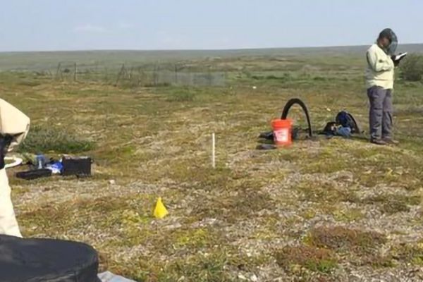 Researchers at Toolik Field Station