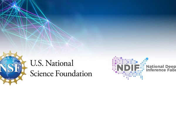 National Deep Inference Facility and NSF banner