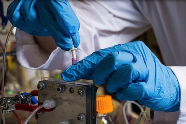 Feng-Yang Chen’s reactor system prototype