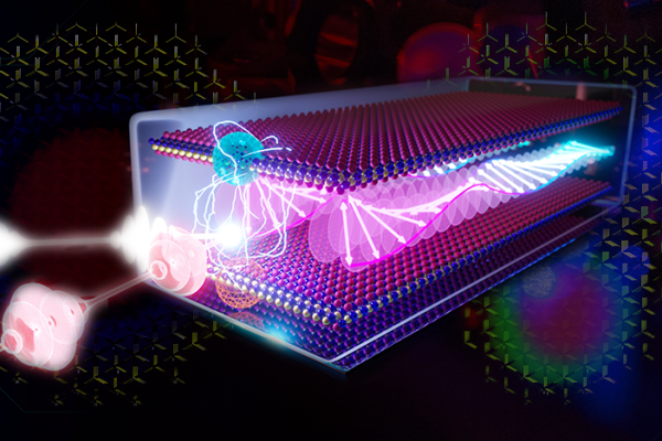 Quantum, Materials, Science, Matters