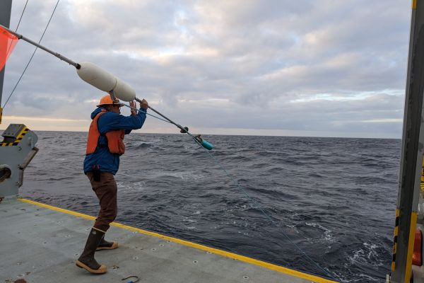 man deploying sediment trap