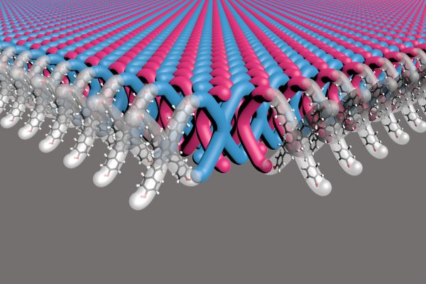 A Northwestern University-led research team has developed the first two-dimensional (2D) mechanically interlocked material. With 100 trillion mechanical bonds per 1 square centimeter, the new material contains highest density of mechanical bonds ever achieved.