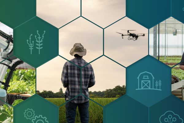 honey comb design banner with a collage of imagery that include someone in a field flying a drone; a greenery house with a robotic arm taking care of plants; and two people walking through a greenery house.