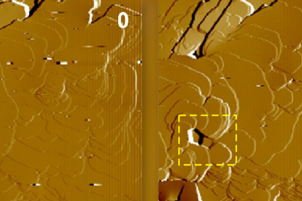 the growth of new layers on cholesterol monohydrate surfaces
