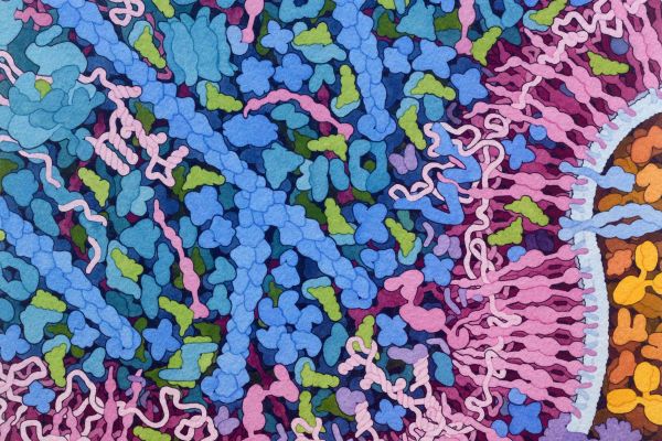 Transfer RNA and Gag Protein
