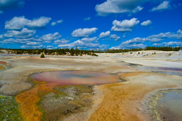 A colorful pool of water in Yellowstone