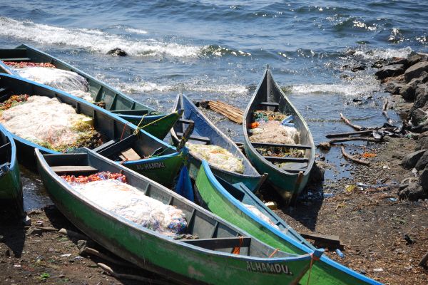 Fishing boats ply the waters of Africa's Lake Victoria, site of the research study.
