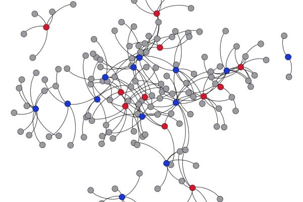 Contact network showing male tortoises (blue nodes), females (red nodes) and burrows (gray nodes).